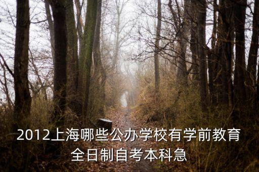 2012上海哪些公辦學校有學前教育全日制自考本科急