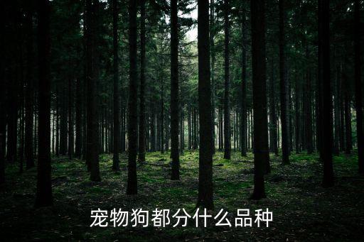 寵物狗都分什么品種