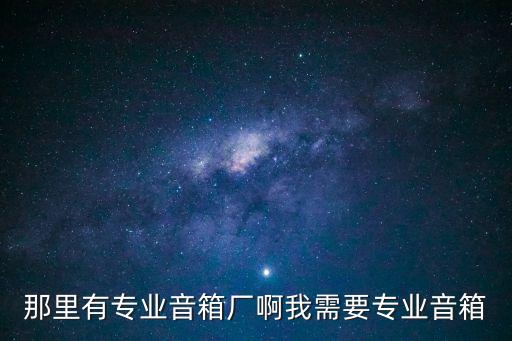 那里有專業音箱廠啊我需要專業音箱