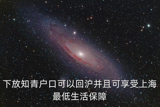 上海市知青回滬定居，下放知青戶口可以回滬并且可享受上海最低生活保障