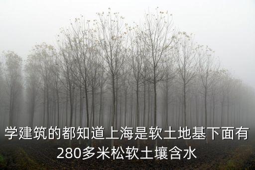 學建筑的都知道上海是軟土地基下面有280多米松軟土壤含水