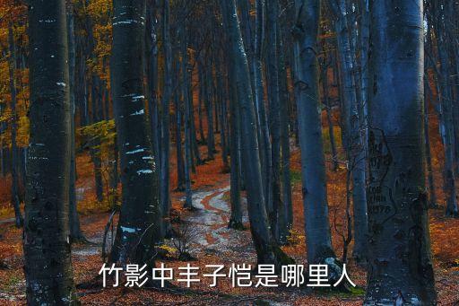 竹影中豐子愷是哪里人