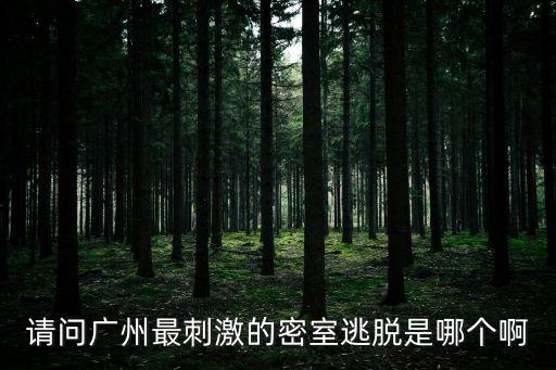 廣州有名的真人密室逃脫，請問廣州有哪里的真人密室解謎比較好玩