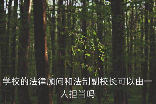 上海市學校法律顧問制度，學校的法律顧問和法制副校長可以由一人擔當嗎