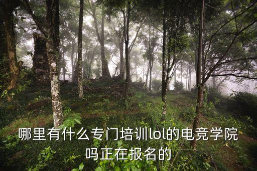 廣州市l(wèi)ol電競培訓班，哪里有什么專門培訓lol的電競學院嗎正在報名的