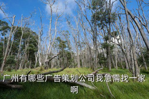 廣州有哪些廣告策劃公司我急需找一家啊