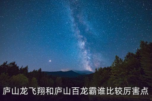 廬山龍飛翔和廬山百龍霸誰比較厲害點