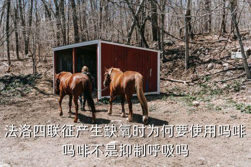 法洛四聯征產生缺氧時為何要使用嗎啡嗎啡不是抑制呼吸嗎