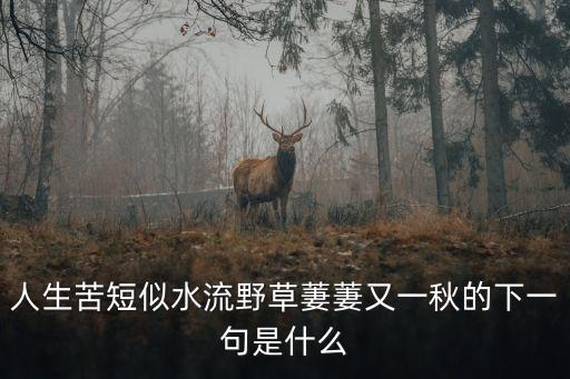 人生苦短下一句，人生苦短后面是什么