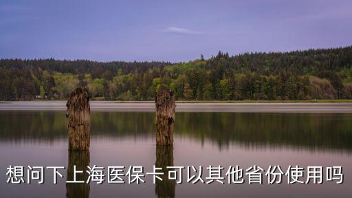 想問下上海醫保卡可以其他省份使用嗎