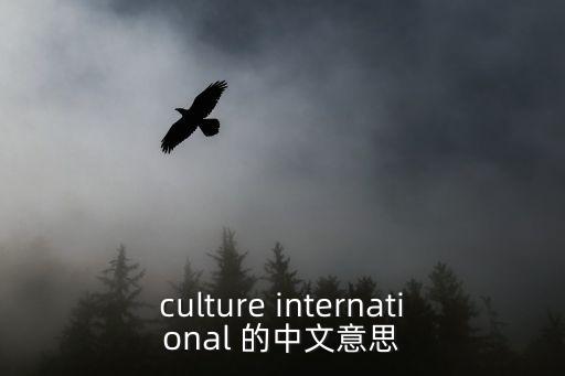 culture international 的中文意思