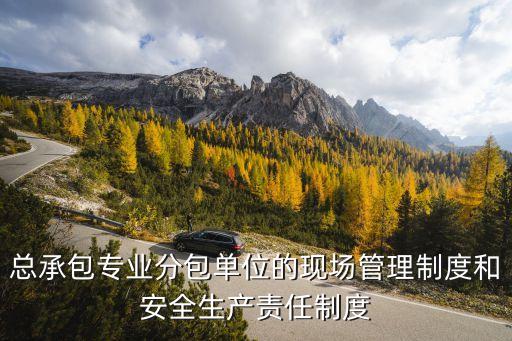 上海市專業分包管理規定，專業分包合同的履行管理有哪些規定