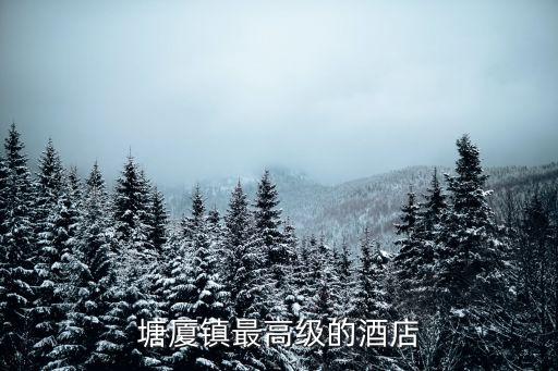 塘廈鎮(zhèn)最高級的酒店