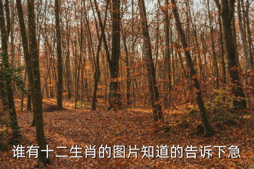 誰有十二生肖的圖片知道的告訴下急