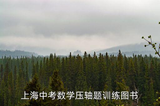 上海市初三數(shù)壓軸題，上海中考數(shù)學壓軸題訓練圖書