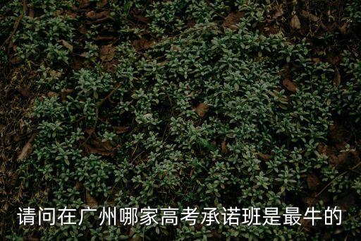 請問在廣州哪家高考承諾班是最牛的