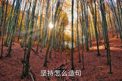 堅持怎么造句