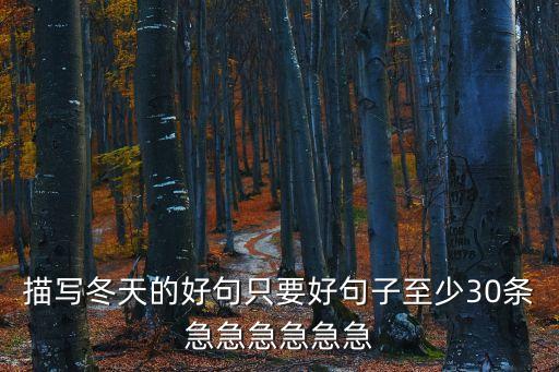 描寫冬天的好句只要好句子至少30條急急急急急急