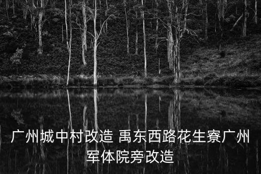 廣州城中村改造 禹東西路花生寮廣州軍體院旁改造