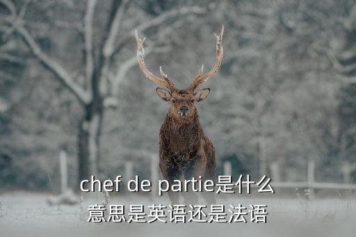 廚師英語，廚師的英文單詞是什么