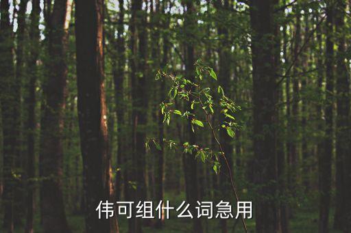 偉可組什么詞急用