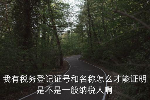 我有稅務登記證號和名稱怎么才能證明是不是一般納稅人啊