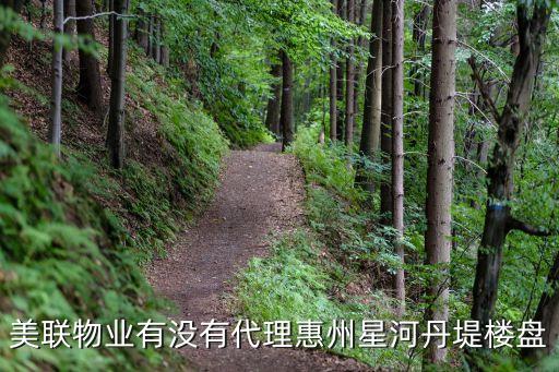 美聯(lián)物業(yè)有沒(méi)有代理惠州星河丹堤樓盤(pán)