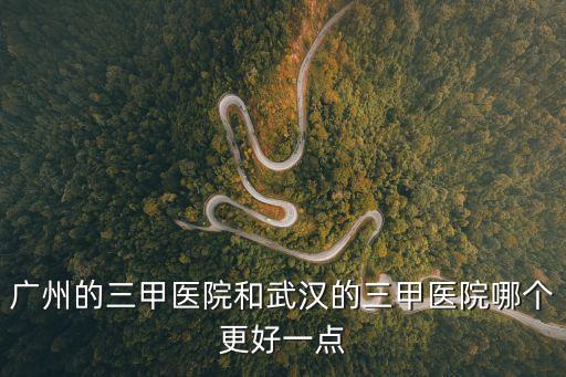 廣州和武漢醫療實力，廣州的三甲醫院和武漢的三甲醫院哪個更好一點