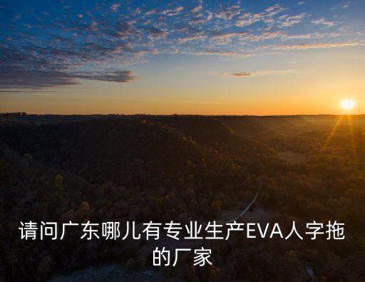 請問廣東哪兒有專業生產EVA人字拖的廠家