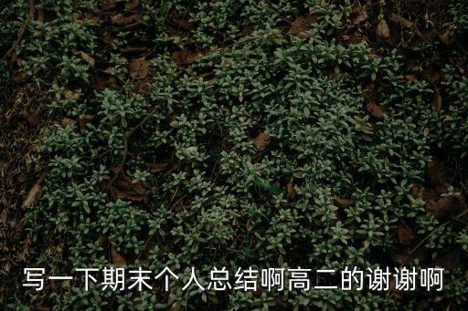 期末總結高二，寫一下期末個人總結啊高二的謝謝啊
