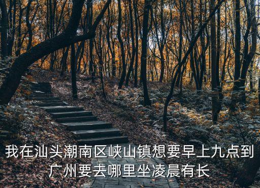 我在汕頭潮南區(qū)峽山鎮(zhèn)想要早上九點(diǎn)到廣州要去哪里坐凌晨有長(zhǎng)