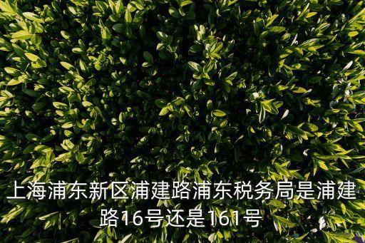 上海市浦東稅務(wù)所，想知道上海 浦東新區(qū)稅務(wù)登記 在哪