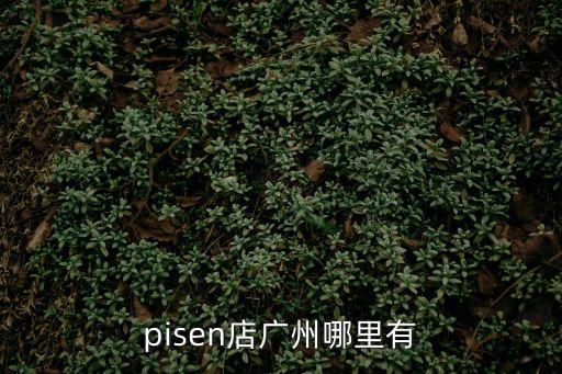 pisen店廣州哪里有