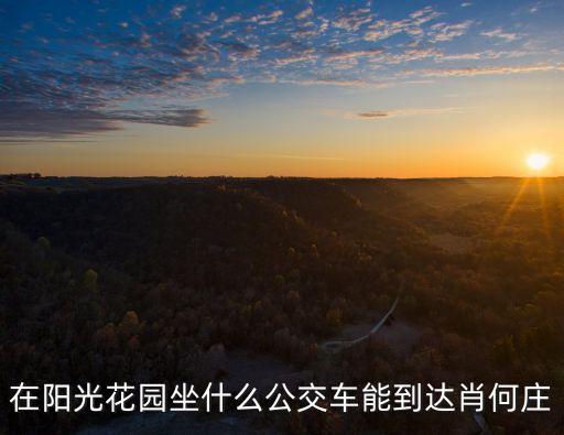 在陽光花園坐什么公交車能到達肖何莊