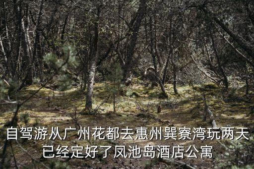自駕游從廣州花都去惠州巽寮灣玩兩天已經(jīng)定好了鳳池島酒店公寓