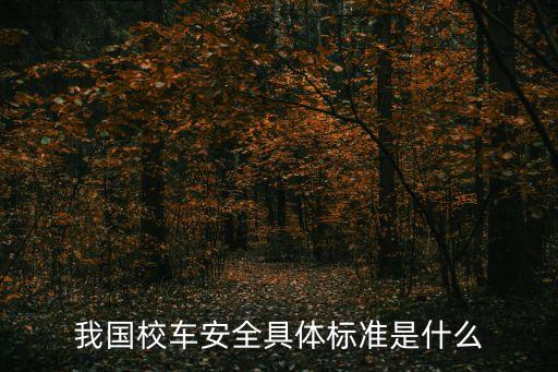上海市校車安全，藍牌校車安全嗎