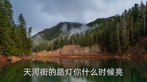 廣州天河車陂路燈管理，有關(guān)廣州天河車陂村