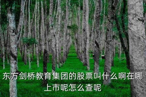 上海市東方劍橋，上海劍橋大學在那里