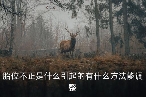 胎位不正是什么引起的有什么方法能調整