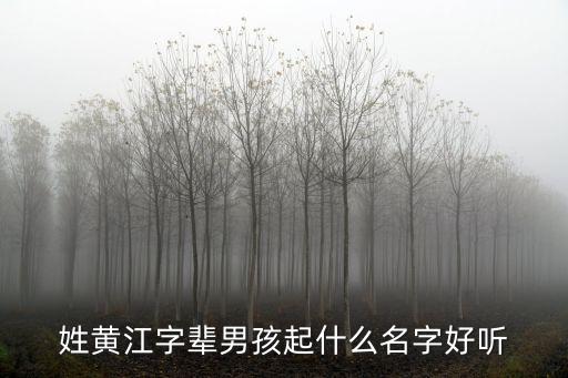 江黃，江黃集屬于新野哪個鄉鎮