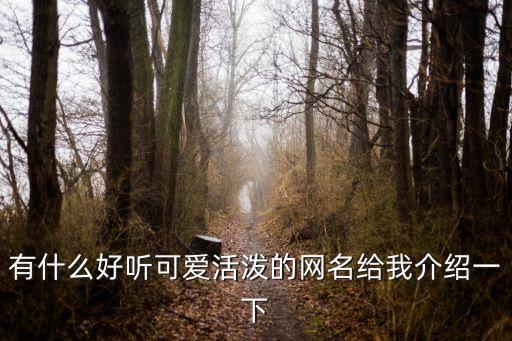 有什么好聽可愛活潑的網(wǎng)名給我介紹一下