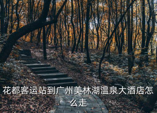 花都客運站到廣州美林湖溫泉大酒店怎么走