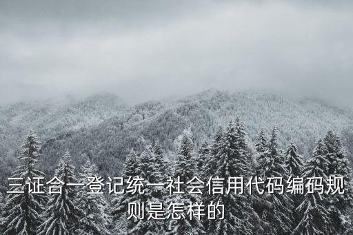 三證合一登記統一社會信用代碼編碼規則是怎樣的