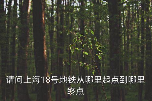 上海市18號線站點，請問上海18號地鐵從哪里起點到哪里終點
