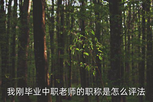 上海市中專教師職稱評定，中職學(xué)校教師職稱如何評定