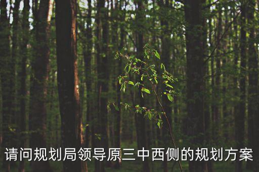 廣州市原規劃局局長王東，規劃局領導請教個事情