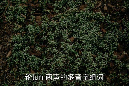 論的多音字組詞，論的多音字