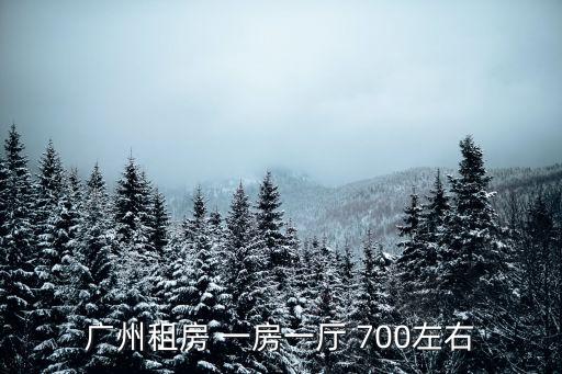 廣州租房 一房一廳 700左右