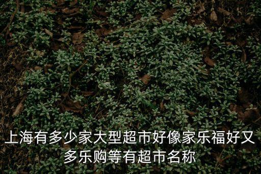 上海有多少家大型超市好像家樂福好又多樂購等有超市名稱
