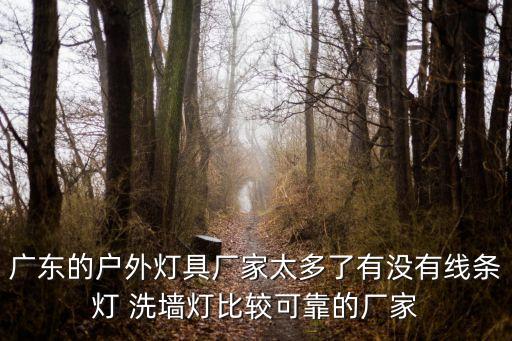 廣東的戶外燈具廠家太多了有沒有線條燈 洗墻燈比較可靠的廠家